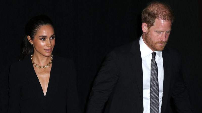 'Prince Harry is unpredictable to the establishment,' royal expert Helena Chard said.MEGA