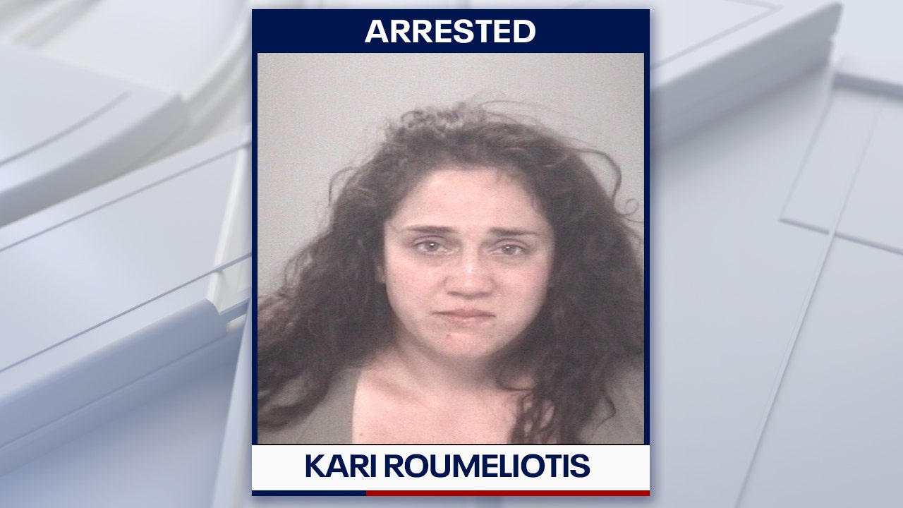 Hudson DUI arrest: Woman with children in car crashes into building and ...