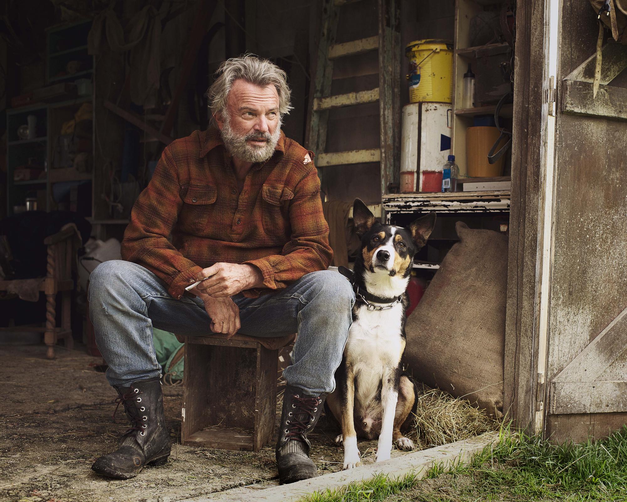 Sam Neill's 20 best roles - AOL