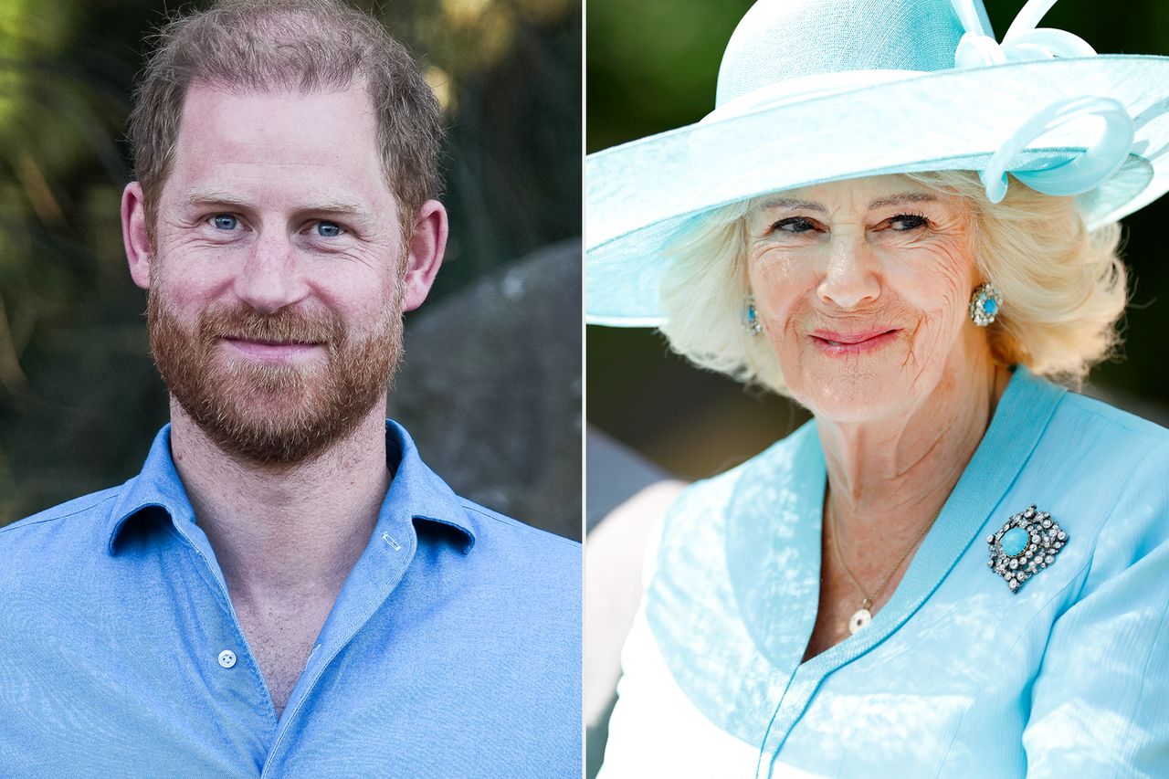 Queen Camilla Is Convinced Prince Harry Could 'Turn on the Family Again' — Insider - AOL