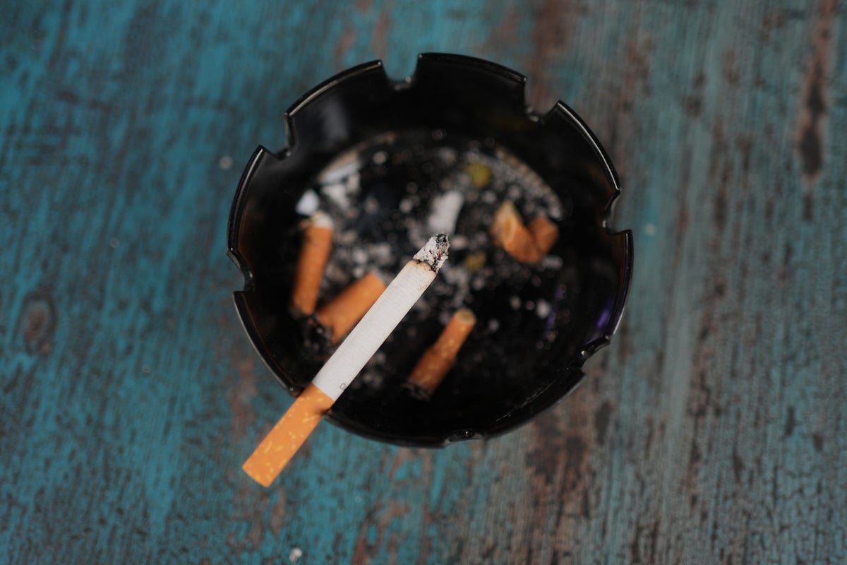 eating ashes from cigarettes Cigarette Dirty Ashtray Stock Photos Bianca no longer eats pottery