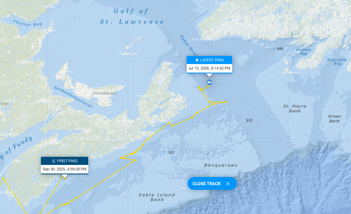 Os primeiros e mais recentes pings do Ripple nas costas canadenses.