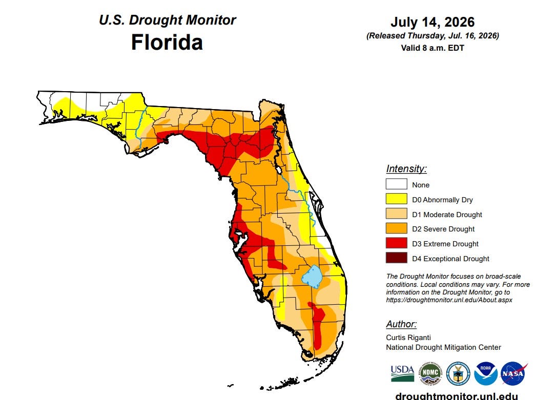 Heavy rain to hit Florida Gulf Coast regardless of tropical formation - AOL