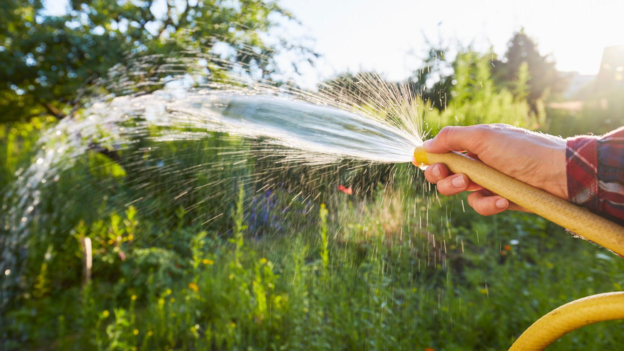 Ireland's Absolute Drought Deepens as Hosepipe Ban Enters Second Week and Wildfires Spread
