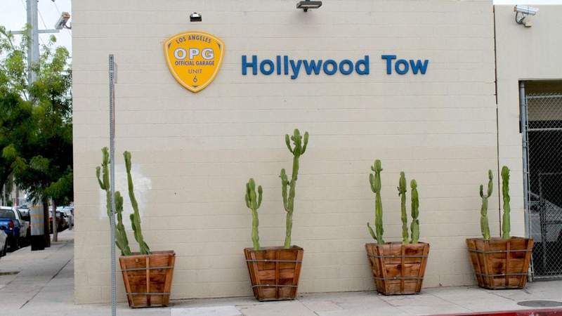 The photos were taken at the tow yard where Hernandez's body was found.MEGA