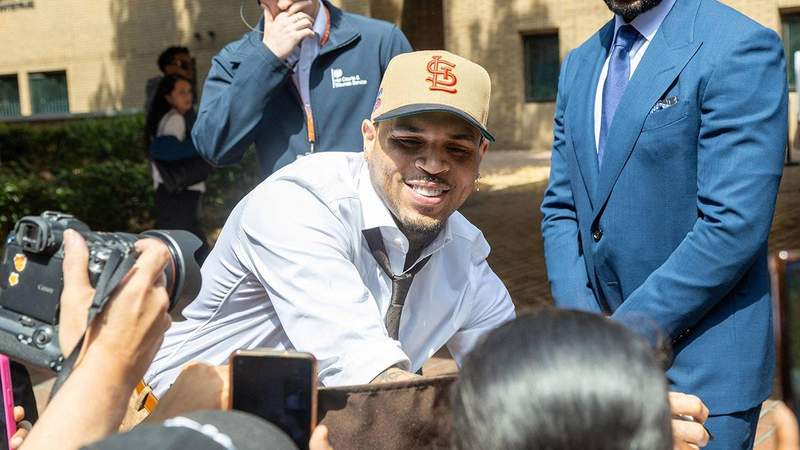 Chris Brown Pleads Guilty to Affray After 'Vicious and Unprovoked ...