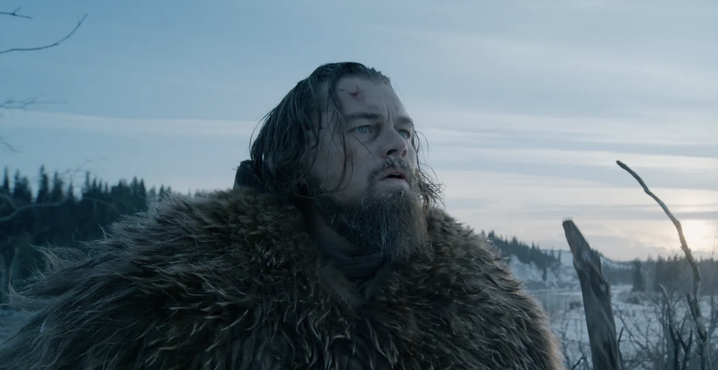 No papel do homem da fronteira Hugh Glass, Leonardo DiCaprio superou uma série de desafios exaustivos, desde atravessar rios gelados até dormir dentro de carcaças de animais para capturar a dura realidade da sobrevivência do personagem. Ao descrever a experiência, ele disse: 