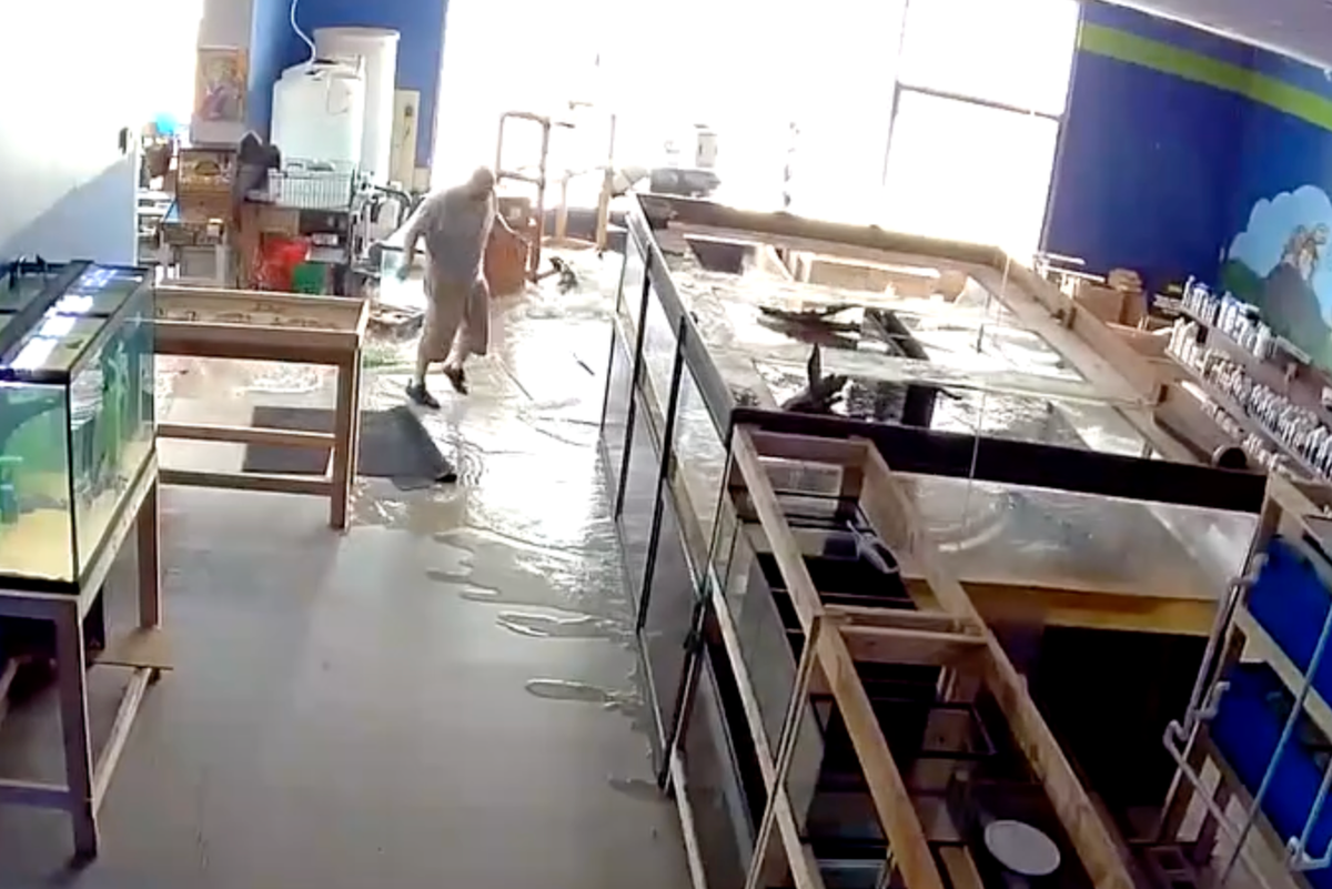 New Photo - Giant fish tank breaks flooding pet store with 2000 gallons of water