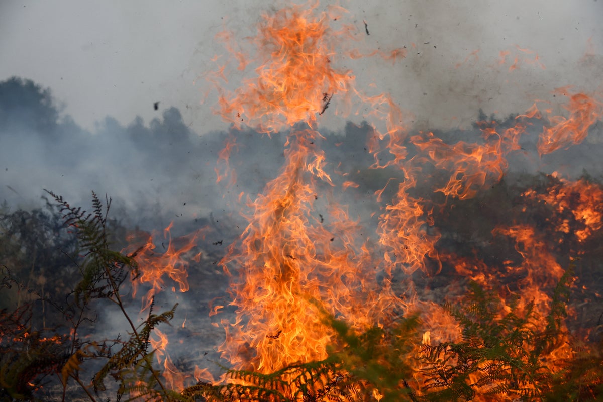 Mapped: The areas in France and Spain affected by raging wildfires - AOL