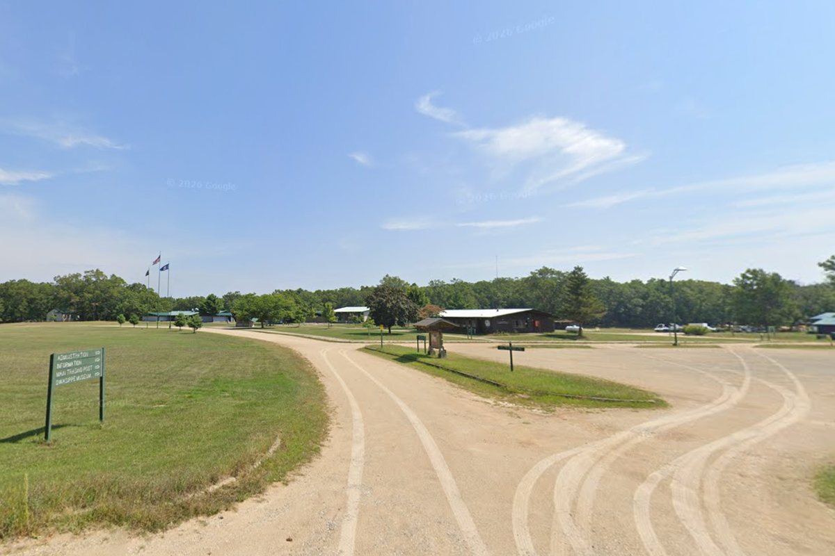 Boy, 11, killed by falling tree at Scout camp in Michigan - AOL