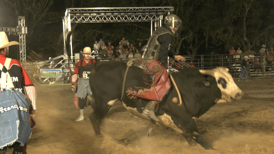 First professional bull riding rodeo comes to Panama City, hosted by ...