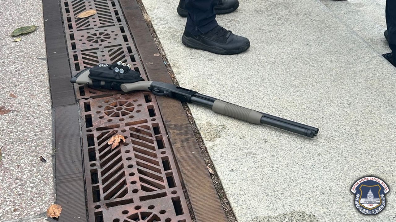 Georgia teen pleads guilty to bringing loaded shotgun to U.S. Capitol - AOL