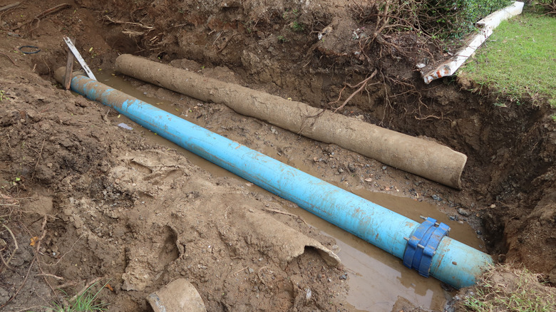 What Do Green Utility Flags Mean? - AOL