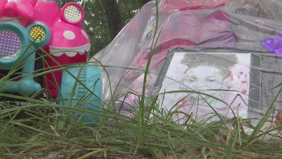 After Javeayah Harris’ death, questions remain about protecting South Carolina children