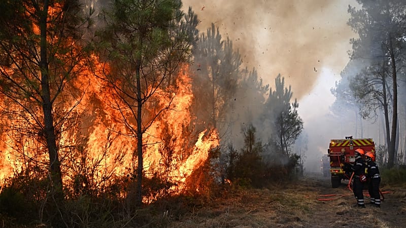 Southern Europe is dealing with fewer blazes but ‘greater' wildfire risk. Is there a solution?