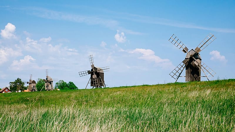 Coolcation Trend Reshapes Global Tourism Landscape