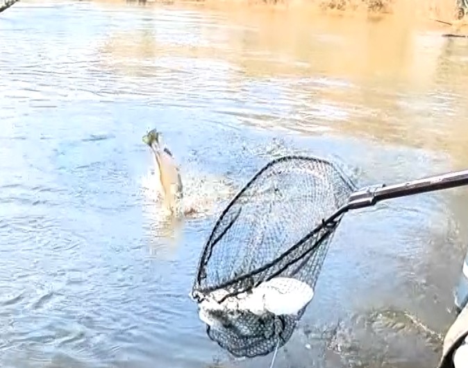 Outdoors Bound Road Trip: Chasing Steelhead!