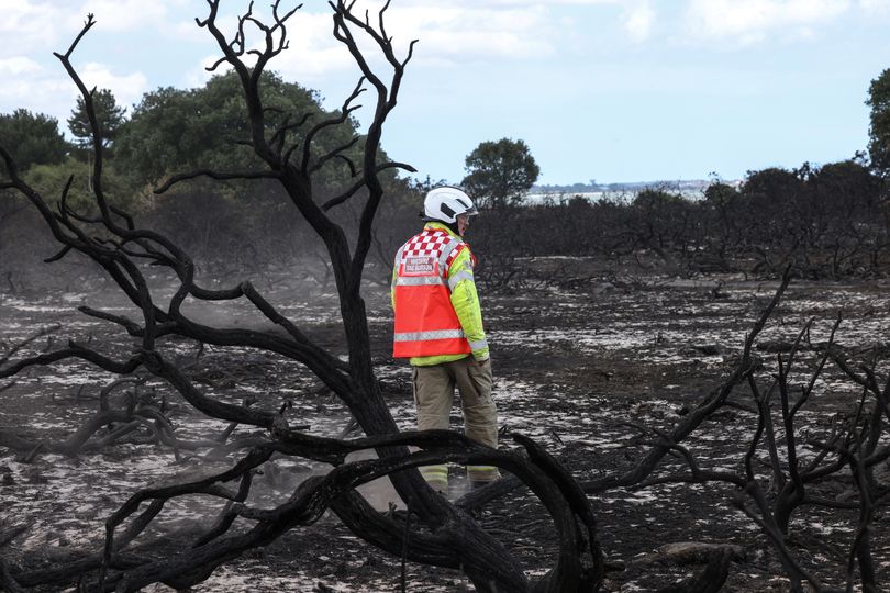 Woman saw start of Suffolk wildfires and tried to stamp it out - but 'it went up like a torch'