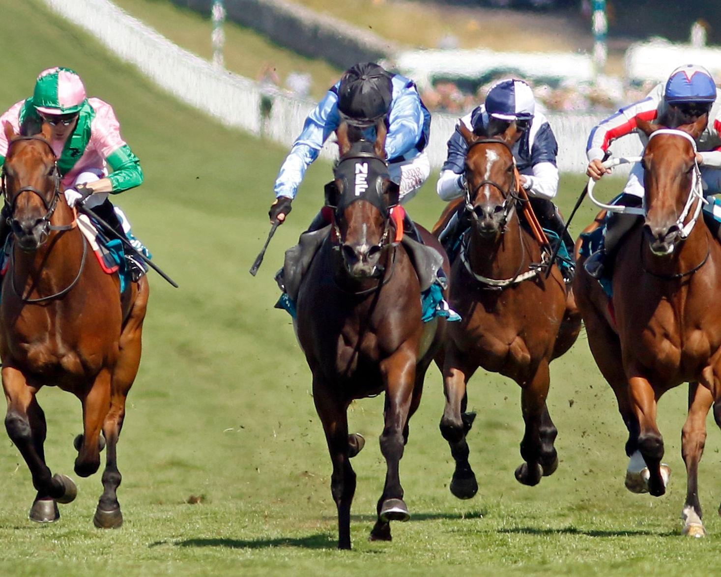 Asfoora retirement on hold after popular sprinter's gallant defeat at Goodwood