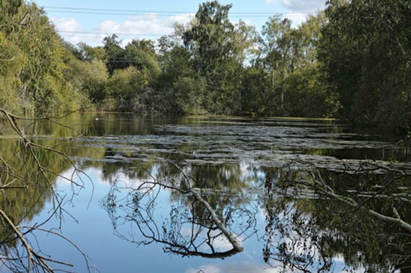 Swimming lake with walking trials and butterfly sanctuary is easy train from London - AOL