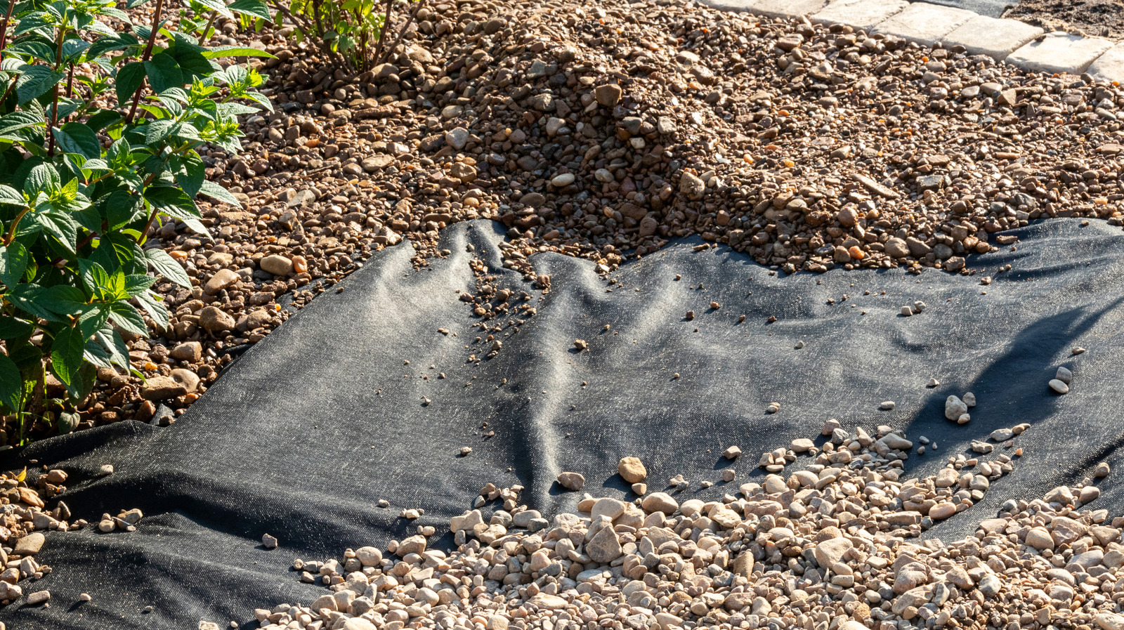 Skip The Landscape Fabric Under Gravel & Try A Natural Alternative To Keep Weeds Away