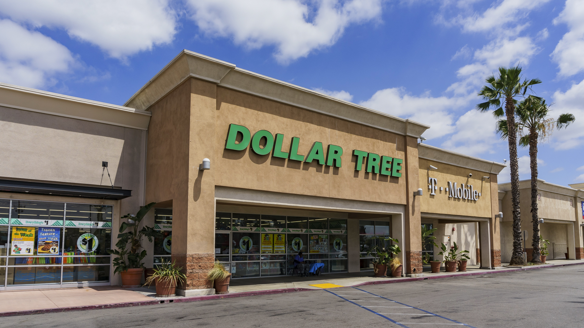 5 Summer Must-Haves From Dollar Tree for Retirees
