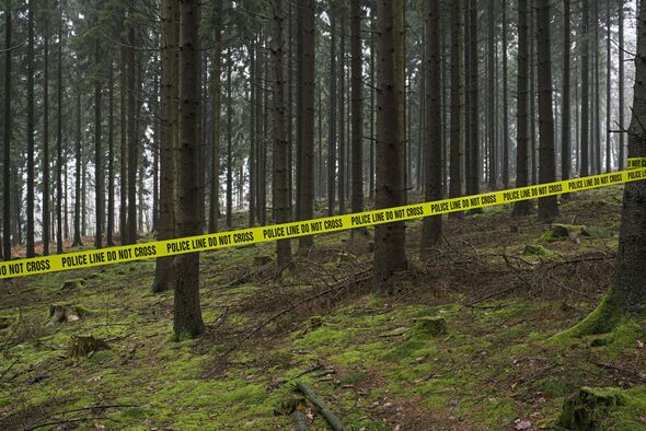 Horror as girl, 9, gang-raped in a field by teenagers