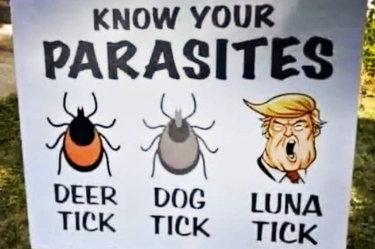41 Signs Funny Enough To Erase Your Most Embarrassing High School Memory