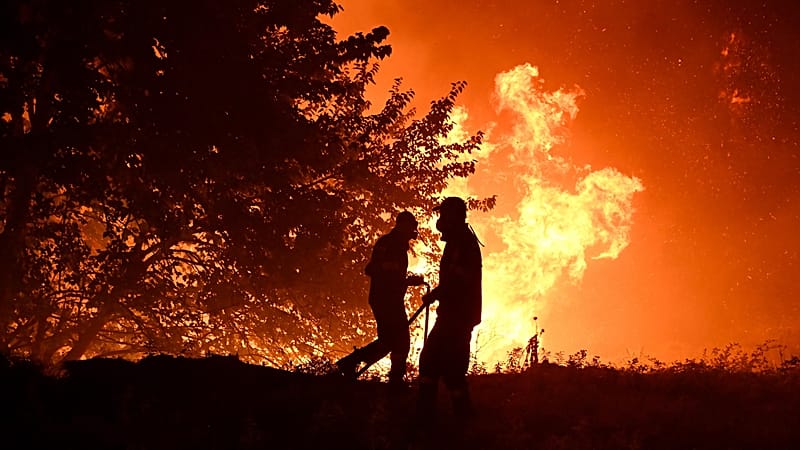 What should the EU prioritise to tackle wildfires? Take our poll