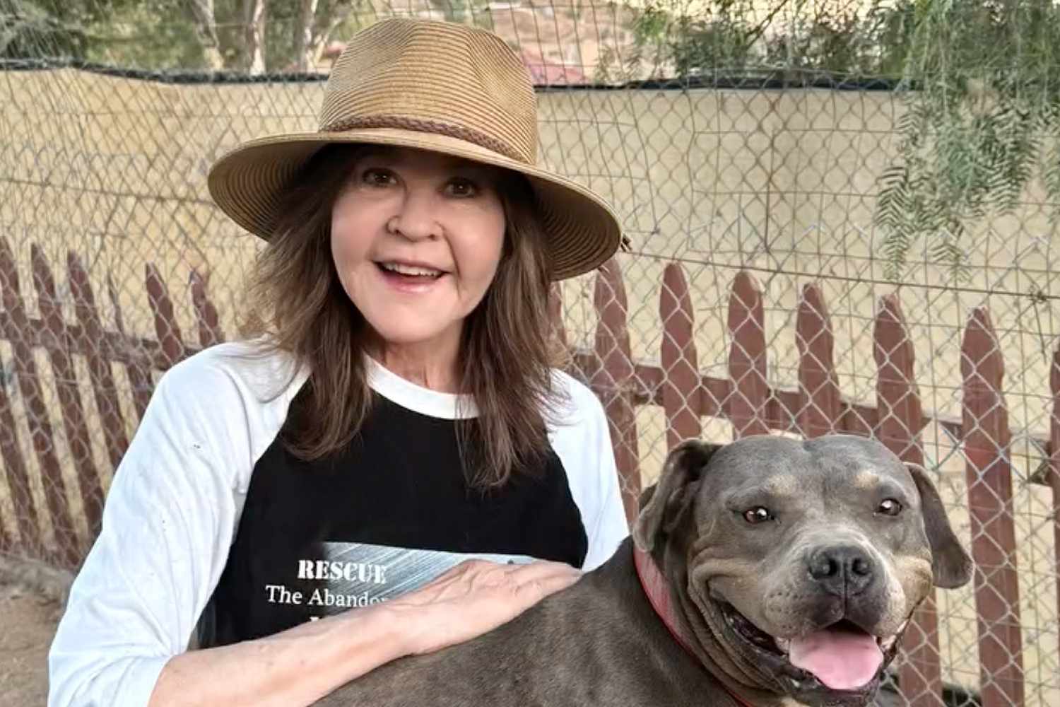 Linda Blair Says Raid on Home in Connection with Reported Kennel Operation Is ‘a Positive’