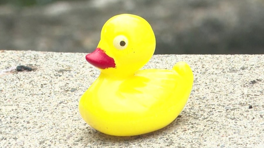 Tickets on sale for Struthers’ Lucky Duck contest this weekend