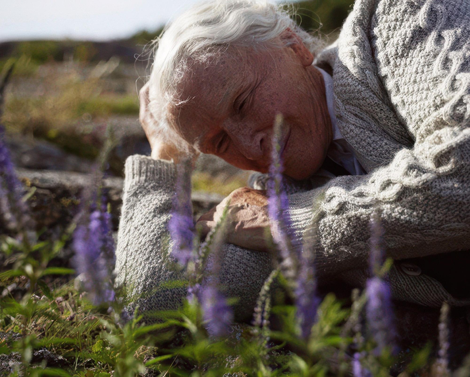 The Summer Book review – Glenn Close powers sweet-natured take on Tove Jansson's kids' classic