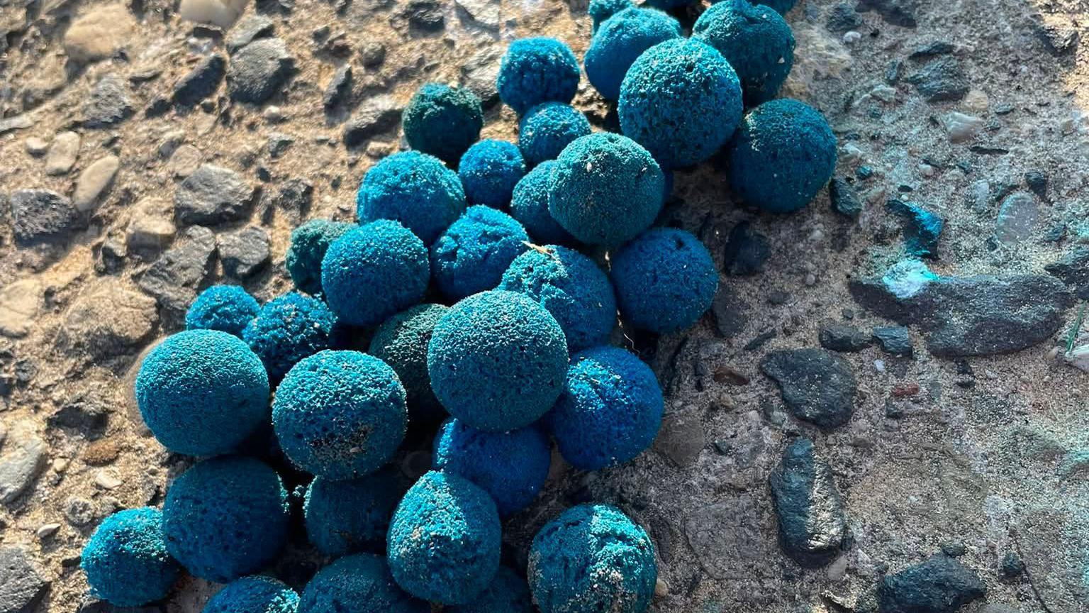 Nuclear station cleaning balls wash up on beaches