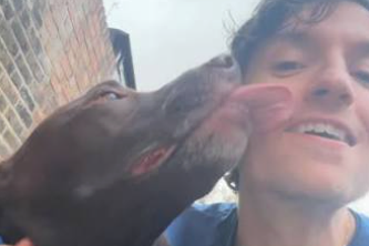 Greg James Misses BBC Radio 1 Show After Death of Dog Barney