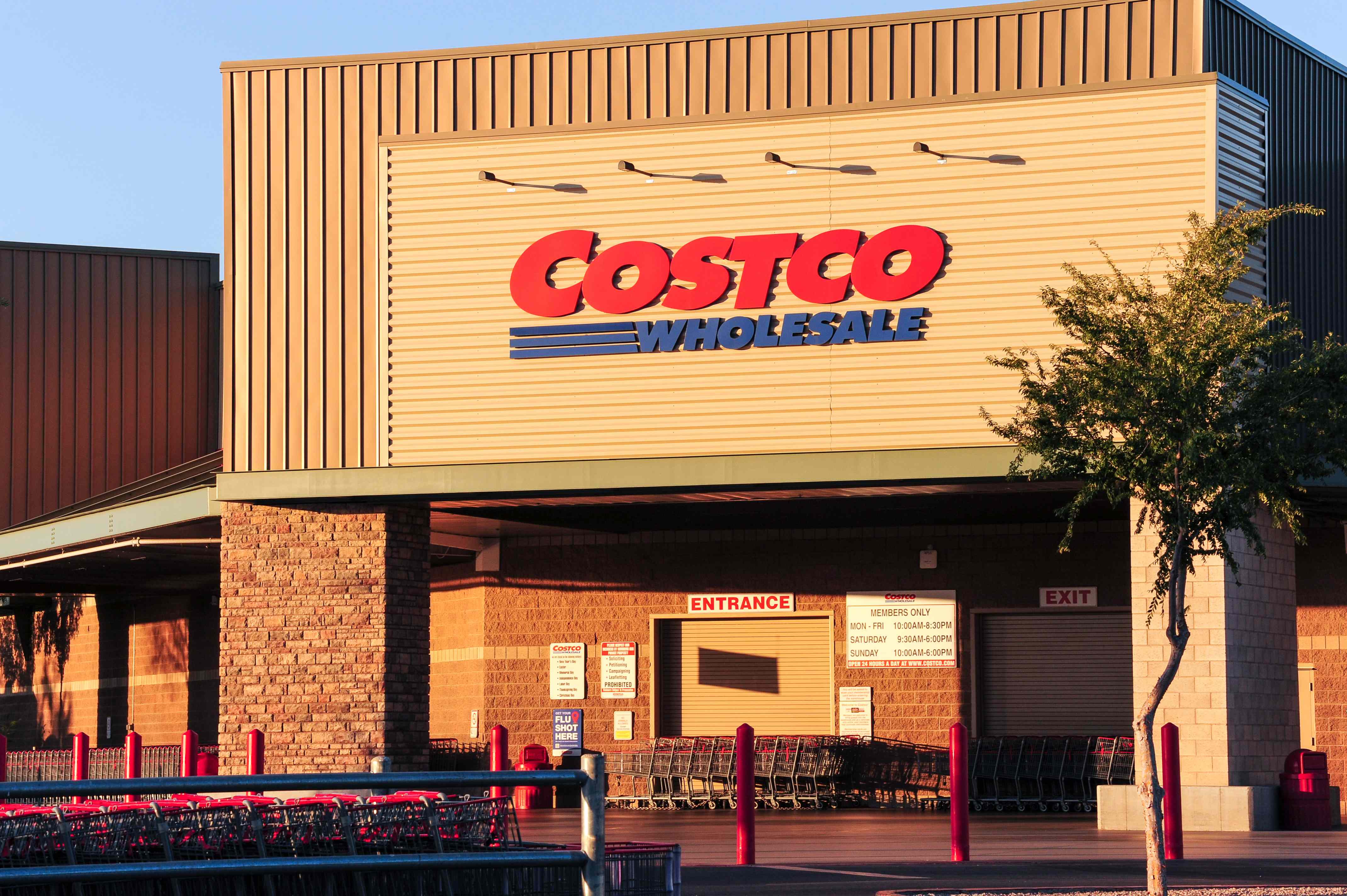 The 5 New Costco Finds I Couldn't Resist This Month
