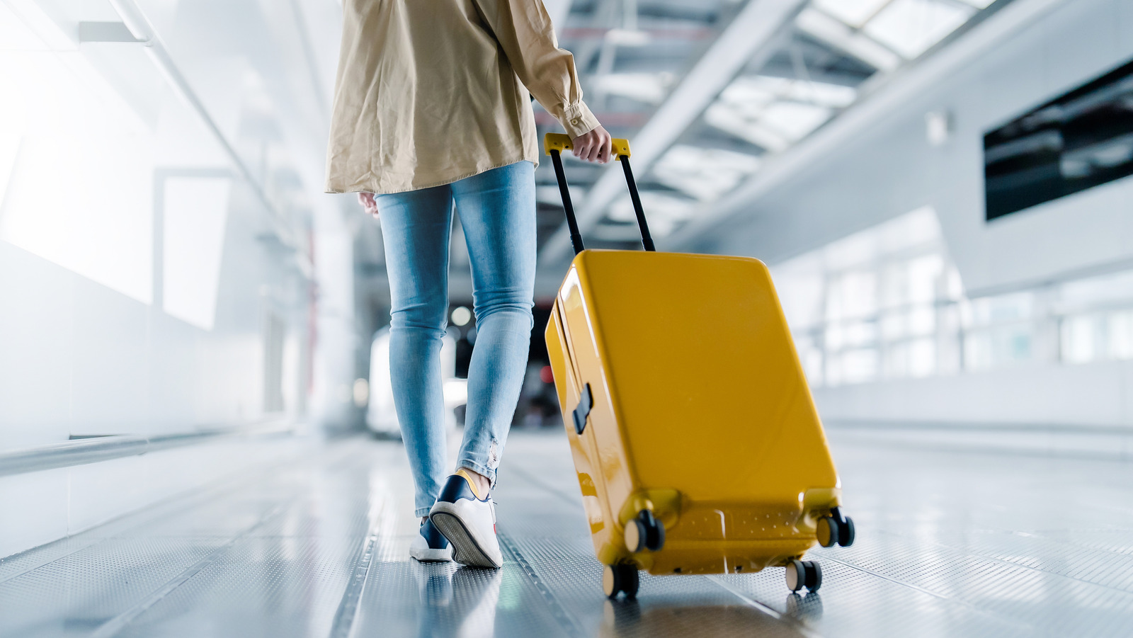 The Unexpected Reason You Should Never Pack Dried Coconut In Your Luggage