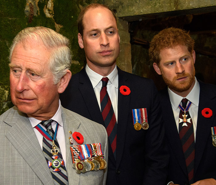 It’s Not Just Harry: The Surprising Tension Between King Charles and ...