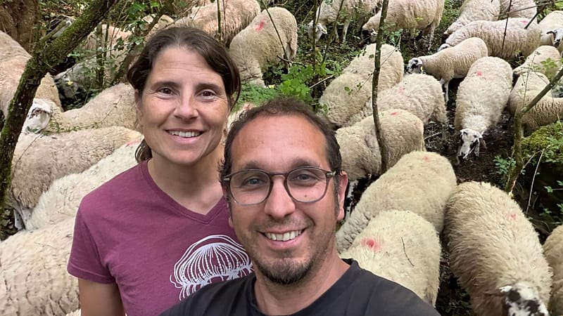 ‘An underused tool': How regenerative farmers are shielding Spanish land from wildfires
