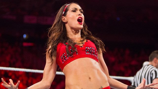 WWE Veteran Defends Jacy Jayne After Brie Bella’s SummerSlam Shoulder Injury