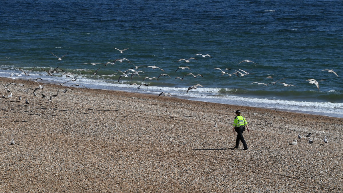 Man arrested after woman in her 20s 'raped on Brighton beach'