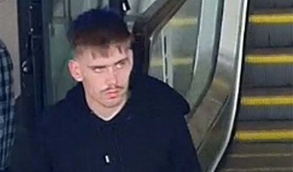 Manhunt after teenage girl sexually assaulted on train by man who got off at Gatwick