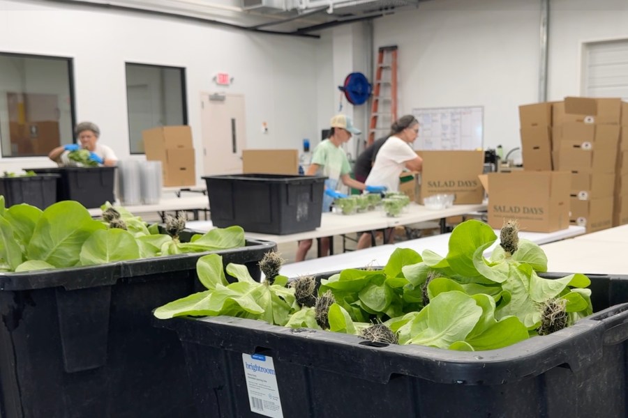 Cyclospora impacts continue across the country, including the Ozarks