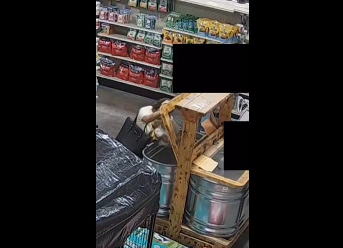 Who stole Ruby Rabbit?: Yukon PD seeks to identify the suspect in theft ...