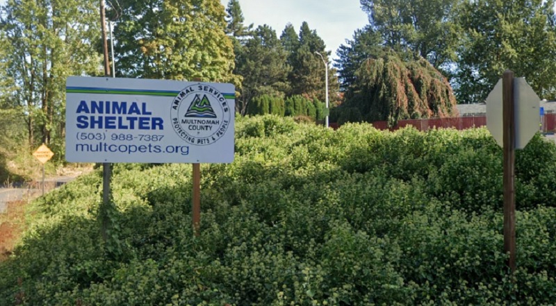 Ohio leader selected as Multnomah County Animal Services new director
