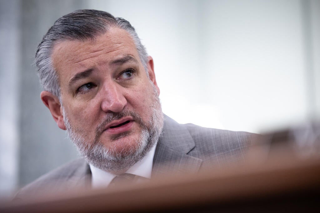 Cruz calls for Trump to arm Iranians: 