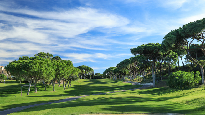 Lush green golf course, lined with trees on both sides, clear blue skies above