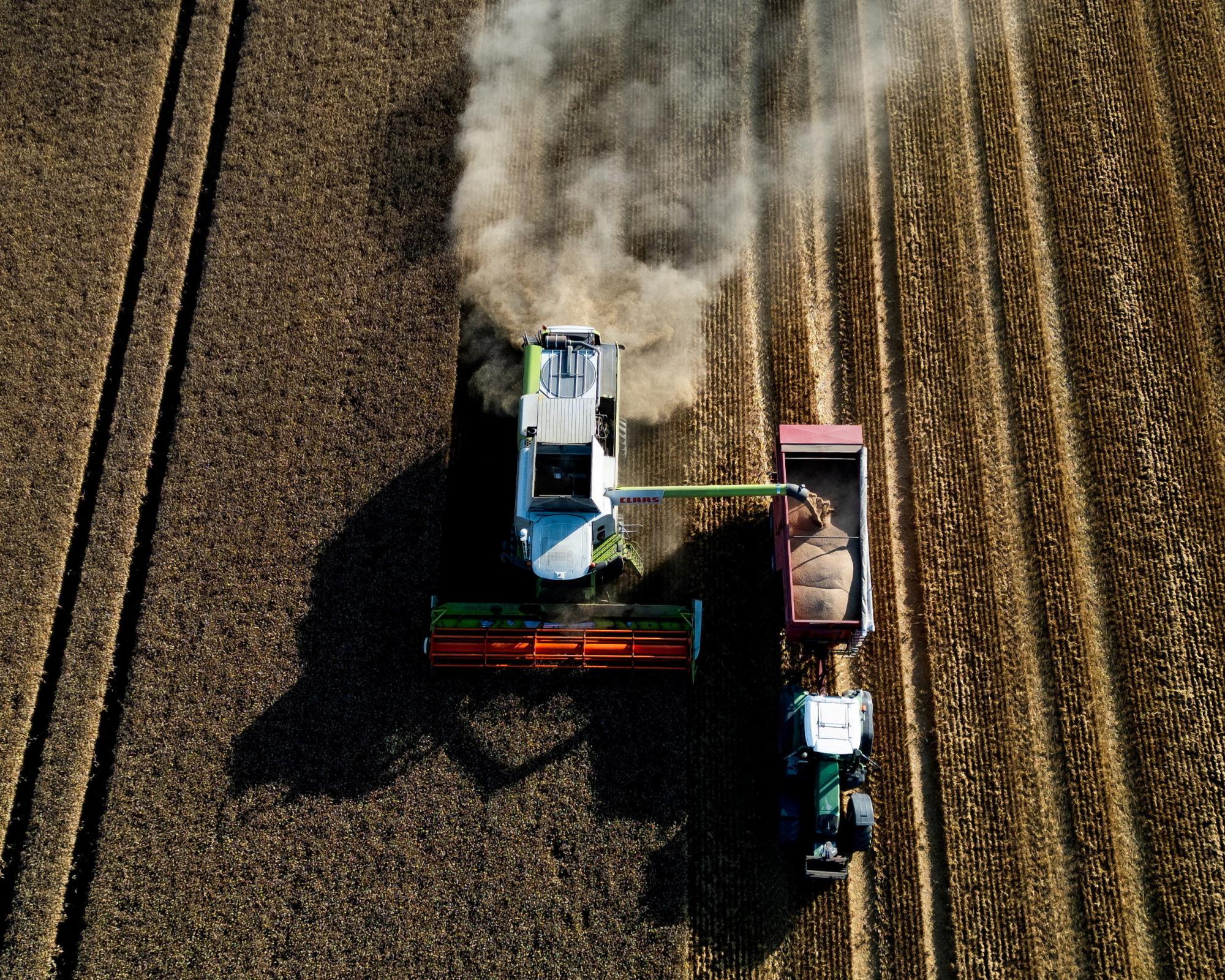Corn and wheat prices jump to highest levels in more than three years