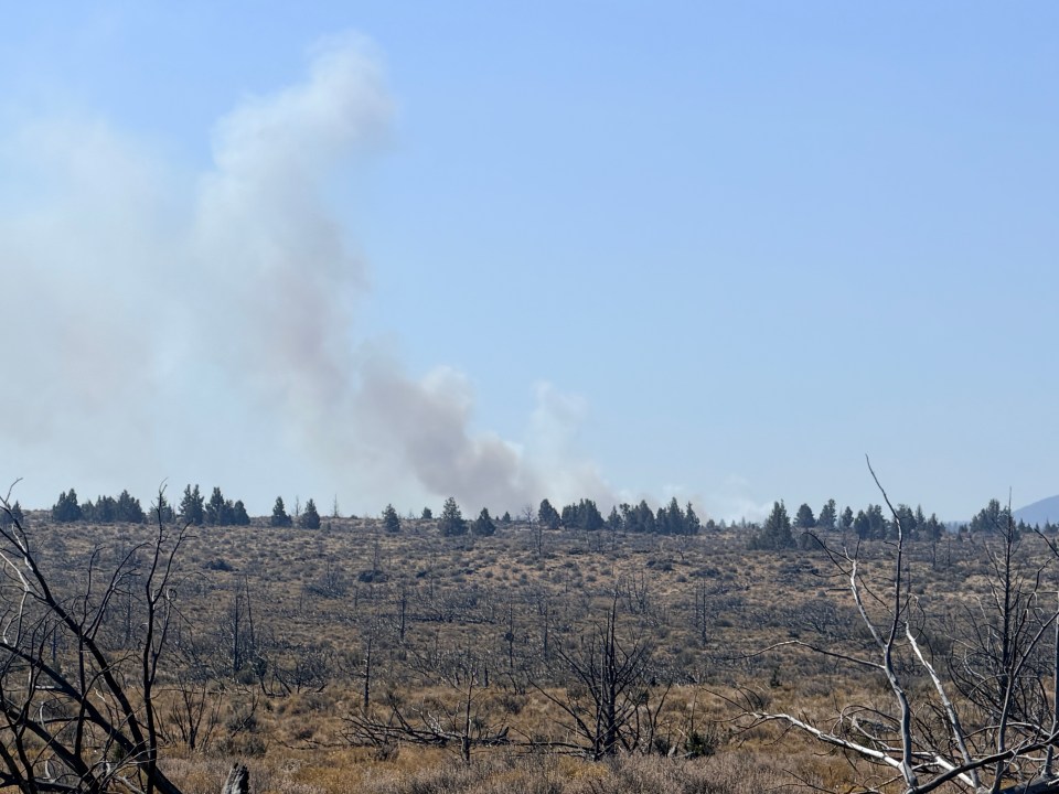 Firefighters make progress on new ‘Hidden Forest’ wildfire southeast of ...