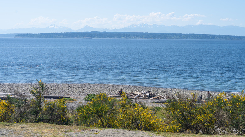 Just Outside Seattle Is Washington S Scenic Park With Beach Beauty A5621e52 Ceb1 4711 A5cd 