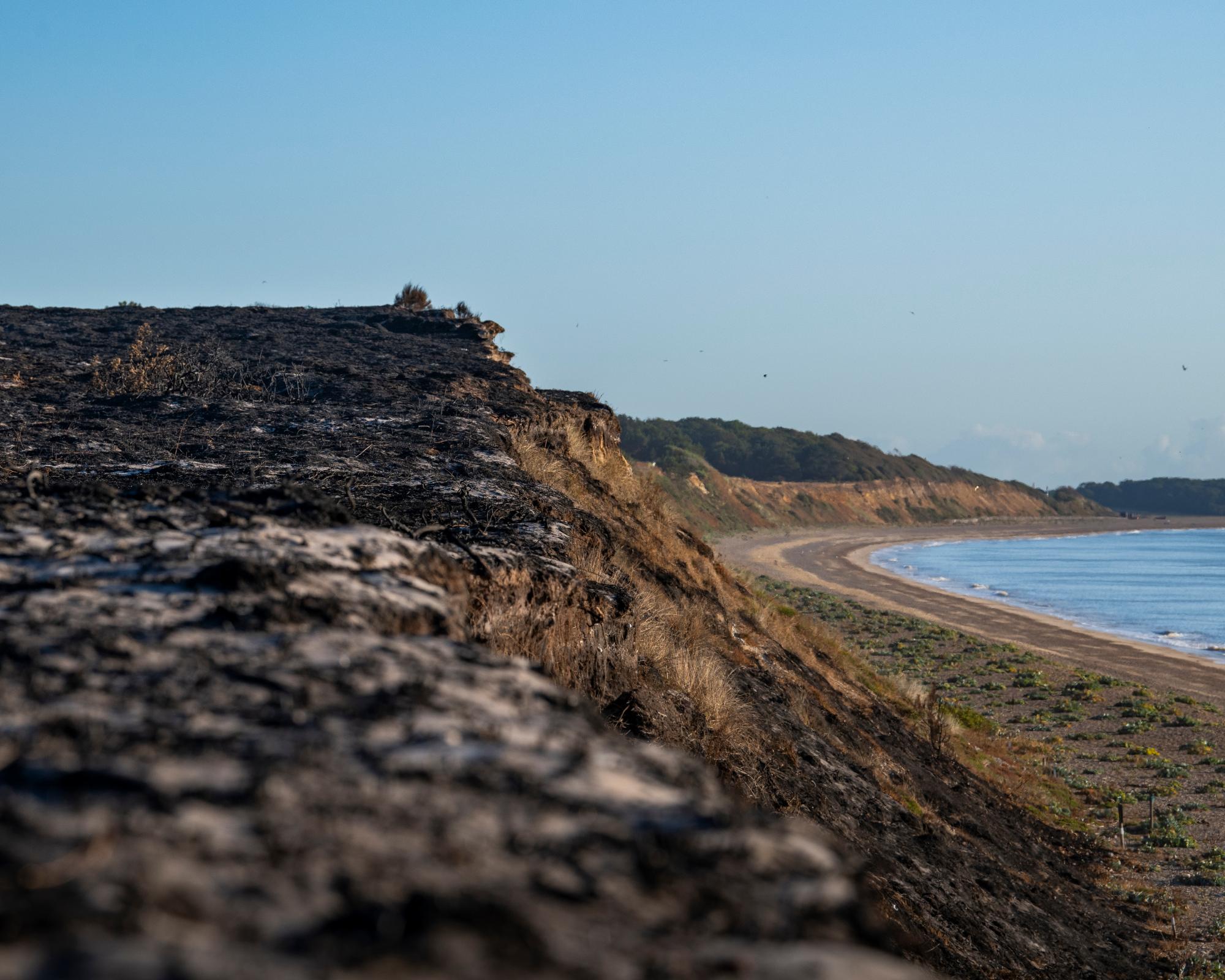 ‘These are human fires, not wildfires': Dunwich reflects on the devastation